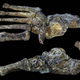 Image for article titled Newly-Discovered, Ancient Humans Were Tree-Climbers Who Walked and Used Tools